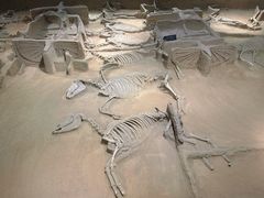 -洛阳周王城天子驾六博物馆