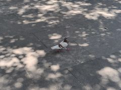 -阿育王寺素斋馆