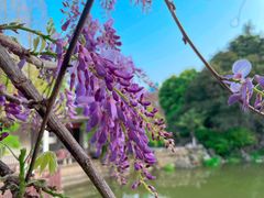-郑和公园