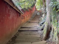 -青城山