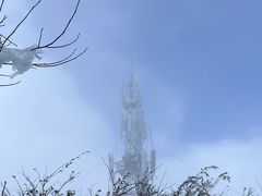 -江西阳明山国家森林公园