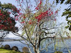 -浙江西子宾馆·瑶园咖啡厅