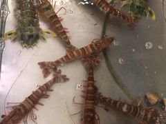 -班赞海鲜市场