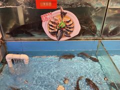 -饭怕鱼(阳光100店)