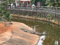 -海南热带野生动植物园