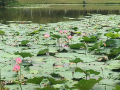 -艾溪湖湿地公园