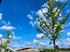 -新田360广场(上海华侨城店)