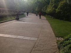 -黄兴公园