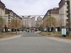 -马家湾湿地公园