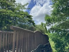 -神户市立六甲山牧场