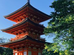 -有栖山 清光院 清水寺