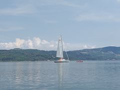 -阳宗海湿地
