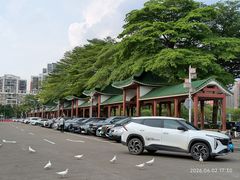 -顺峰山公园