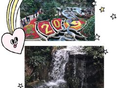 -南山植物园