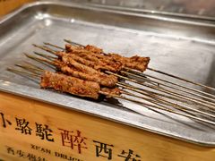 -福苗小骆驼烧烤(大唐不夜城店)