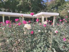 -人民公园(罗湖区)