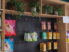 -中农大我爱我爱动物医院·核磁CT·猫病·24小时夜诊中心(石佛营店)