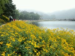 -广州市石门国家森林公园