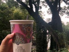 -茶颜悦色(岳麓山顶店)