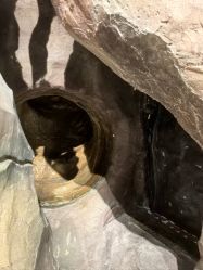 -探洞工场(丰科万达旗舰店)