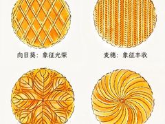 -私人做法(苹果社区店)