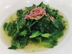 上汤豆苗-麟1929(外滩店)