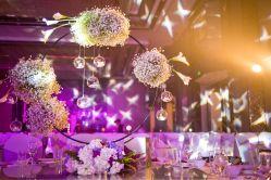 -佳丽海鲜大酒楼·宴会厅(蔡塘店)