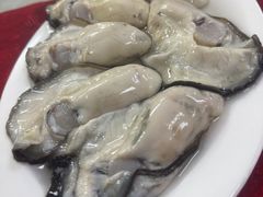 -花苑美食横琴生蚝火锅(拱北粤华路店)