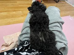 -美联众合24小时·皮肤科·外科·全科诊疗中心(华苑分院)