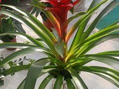 -西部兰花园生态园