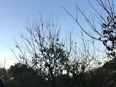 -牛岗山公园