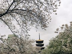 -东湖磨山景区