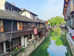 -王记海棠糕(新场古镇店)