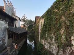 -乌镇东栅景区