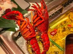 -串一火锅(赛格国际购物中心店)