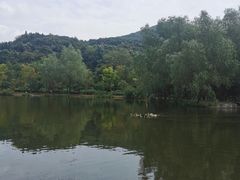 -石塘人家