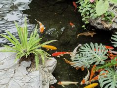 -广州白天鹅宾馆