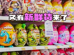 -TOYSRUS玩具反斗城(苏州中心店)