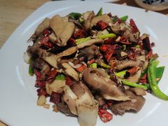 -李柱·柘城垛子羊肉旗舰店(通泰路店)