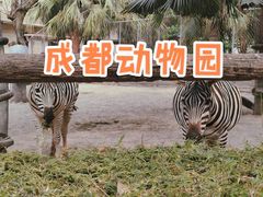 -成都动物园
