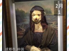 -成都泰迪熊博物馆
