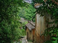 -杨家堂村