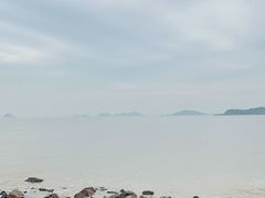 -野狸岛