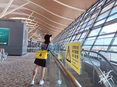-上海浦东国际机场-T2航站楼