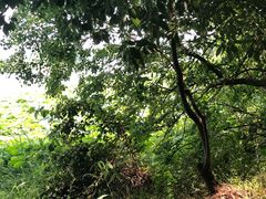 -东湖落雁景区