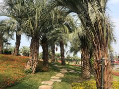 -南通洲际绿博园