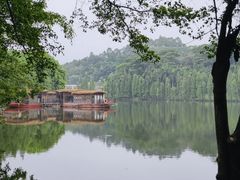 -三水森林公园