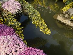 -杭州植物园