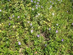 iphone_upload_pic-新江湾城公园