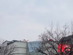 -ZARA(大悦城店)